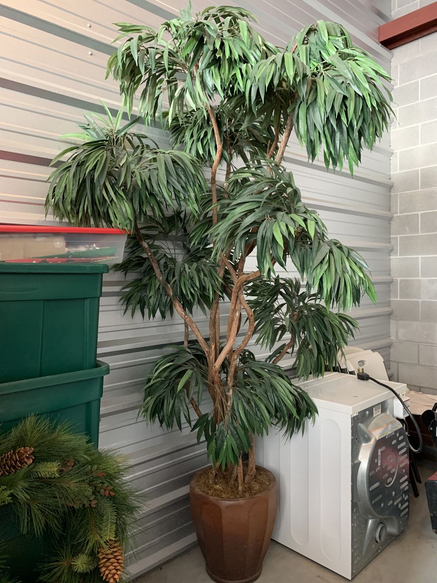 Indoor artificial tree $100 OBO