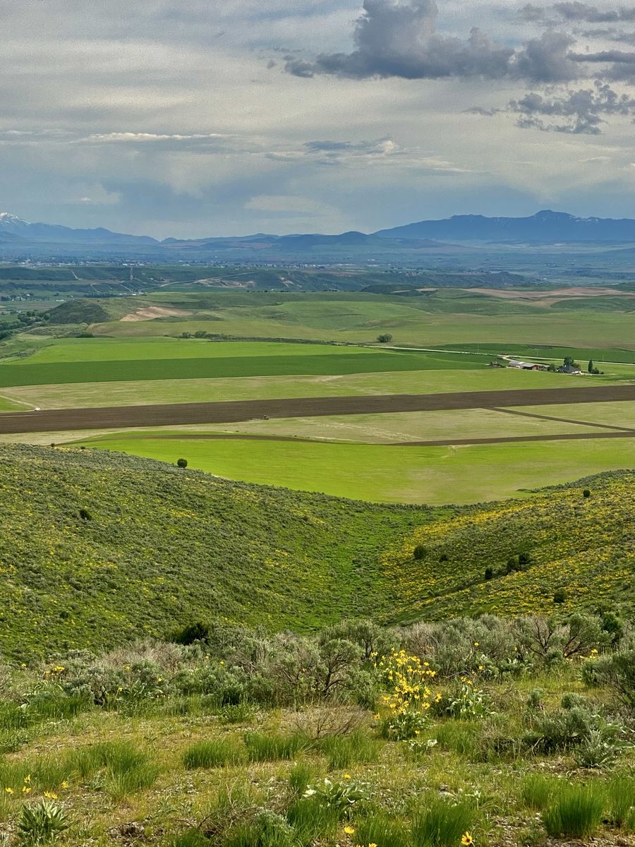 40 Acres Agricultural Land Near Preston Idaho