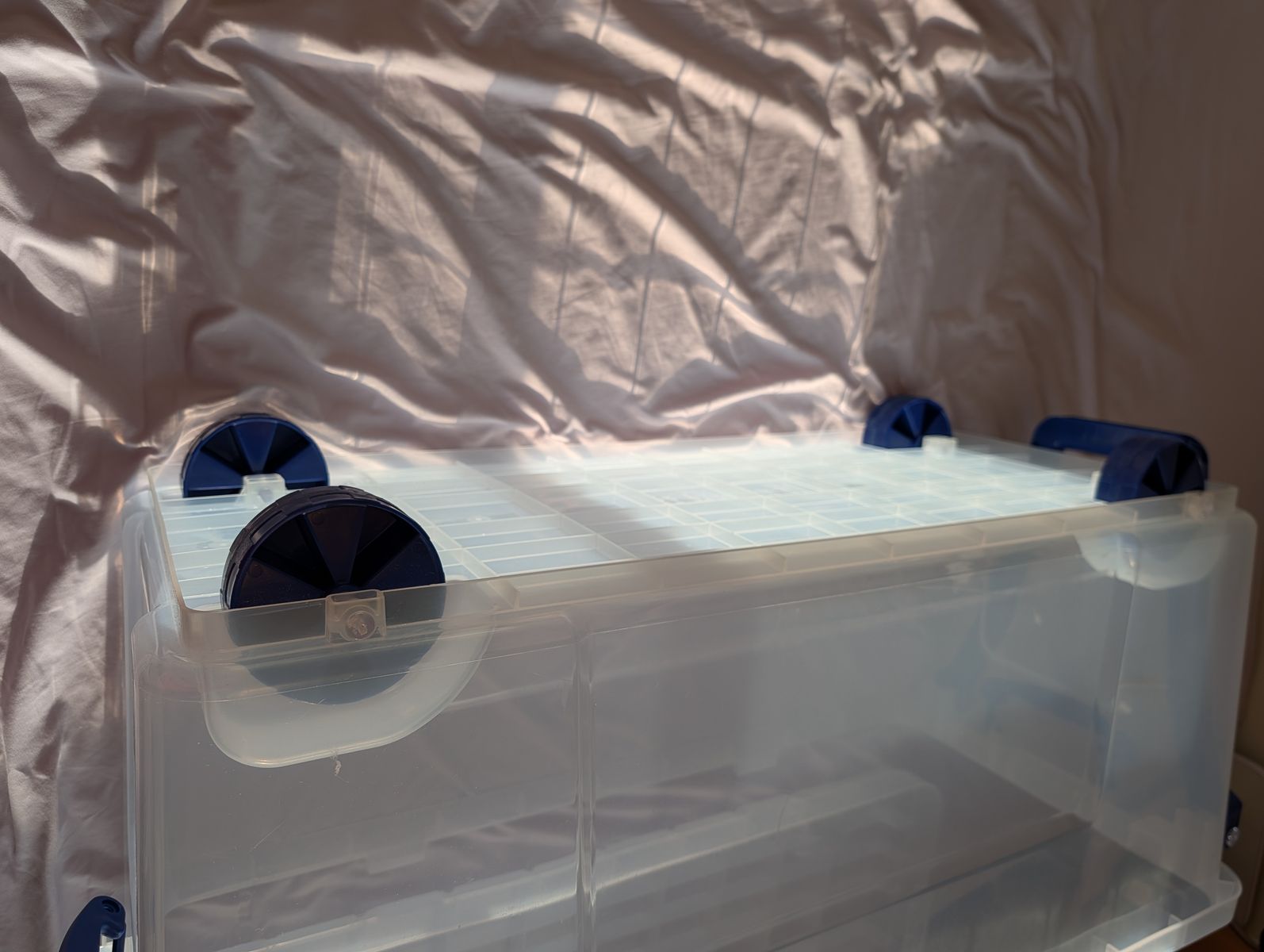 Main image 7