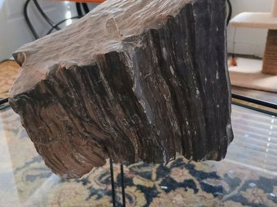 Petrified Wood for Cheap/Bargain