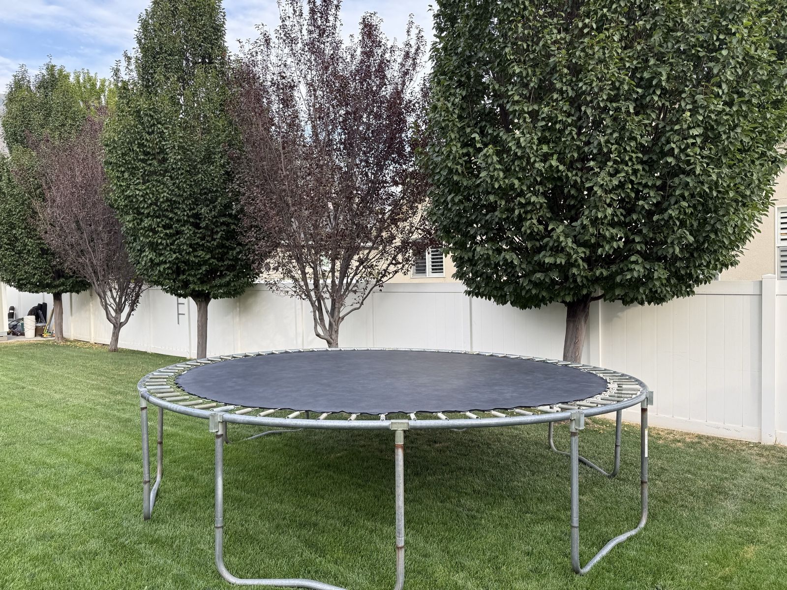 Trampoline