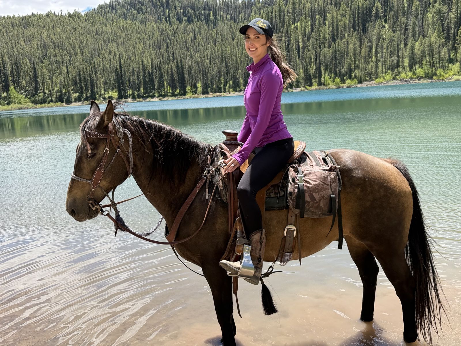 Solid mountain and using gelding