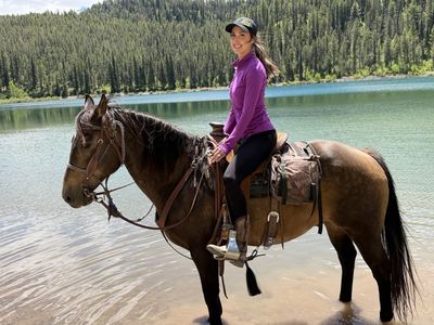 Solid mountain and using gelding