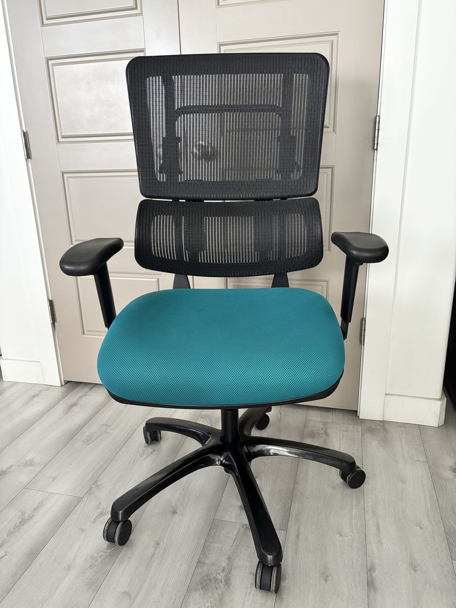 Ergonomic Office Chair with Black Mesh Back and Teal Cushion 