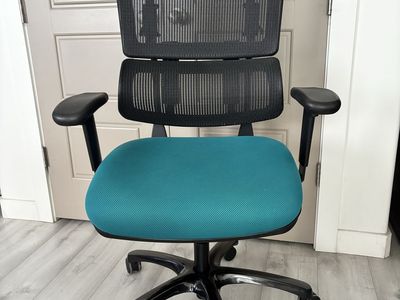 Ergonomic Office Chair with Black Mesh Back and Teal Cushion
