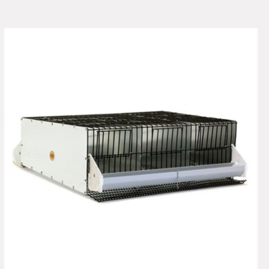 wanted quail breeding cage