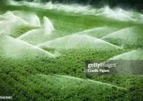 Westfield Water Shares