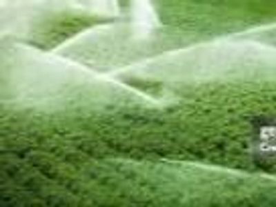 Westfield Water Shares