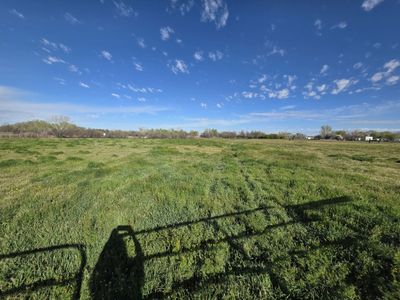 Pasture for rent 5 acres