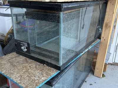 Aquariums / Terrariums