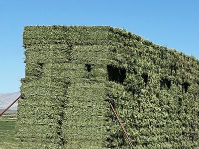 Alfalfa Hay 70lb small bales 2nd Crop