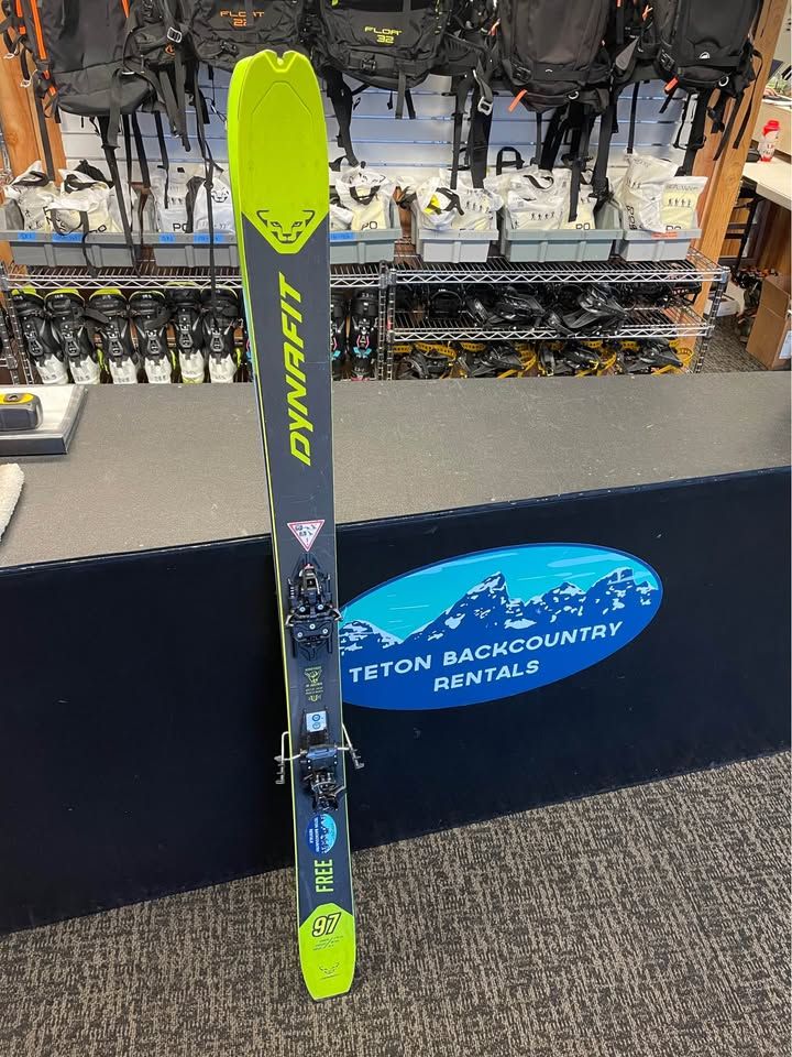 Dynafit Free AT Skis