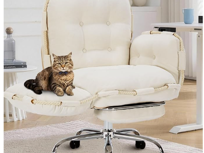 Office Chair with side rests