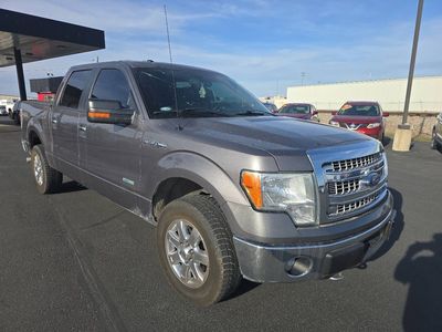 2014 FORD F150 XLT