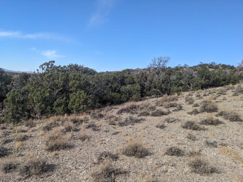 Main image 16