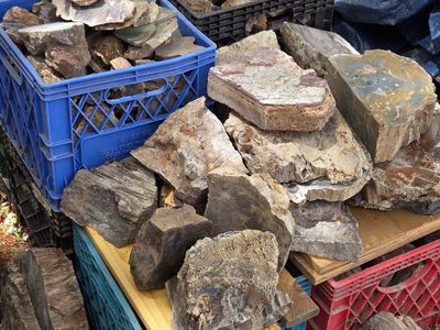 1500 lbs of Petrified Wood, Agates, Jaspers