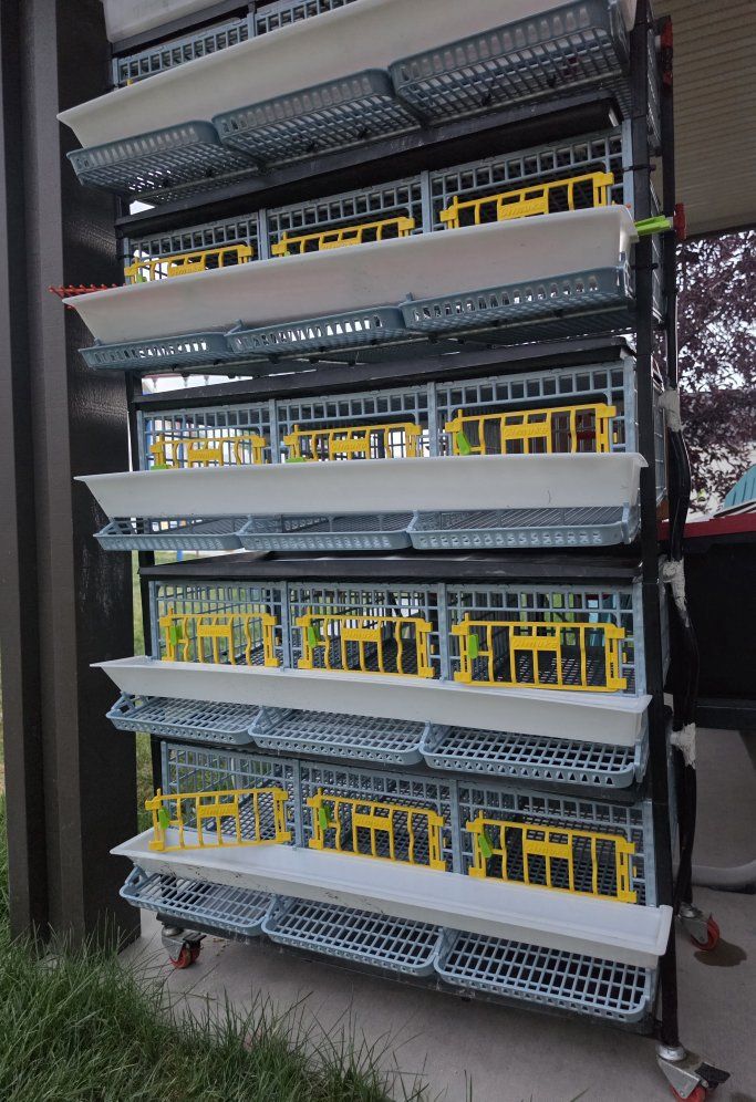 Poultry Breeding Cages Racks and Feeders System
