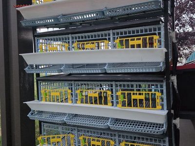 Poultry Breeding Cages Racks and Feeders System