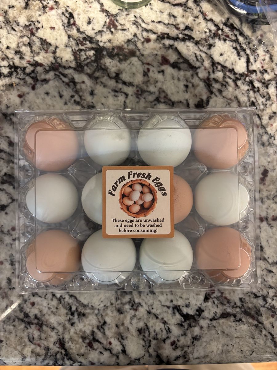 Large Farm Fresh Eggs