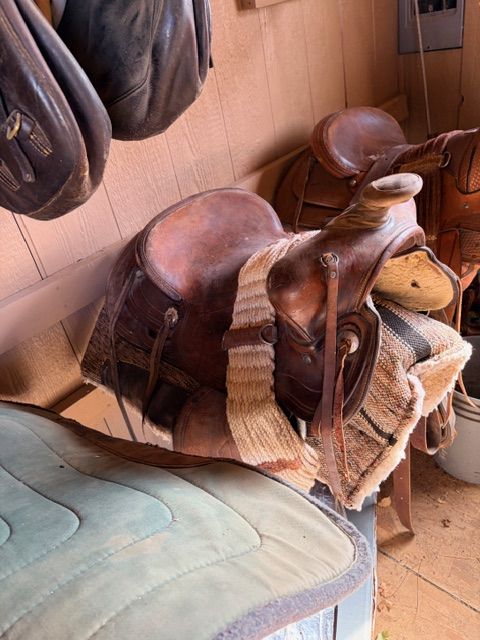 Horse Tack