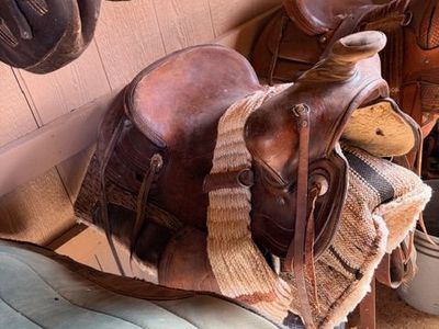 Horse Tack
