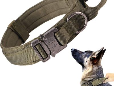 NEW Tactical Dog Collar Adjustable Military Nylon Dog Collar with Control Handle and Heavy Duty Metal Buckle