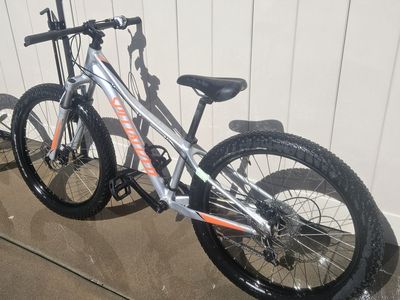 Youth Mountain Bike (Big Tire)