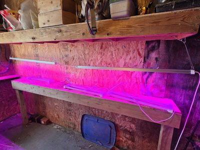 Grow lights for plants LED