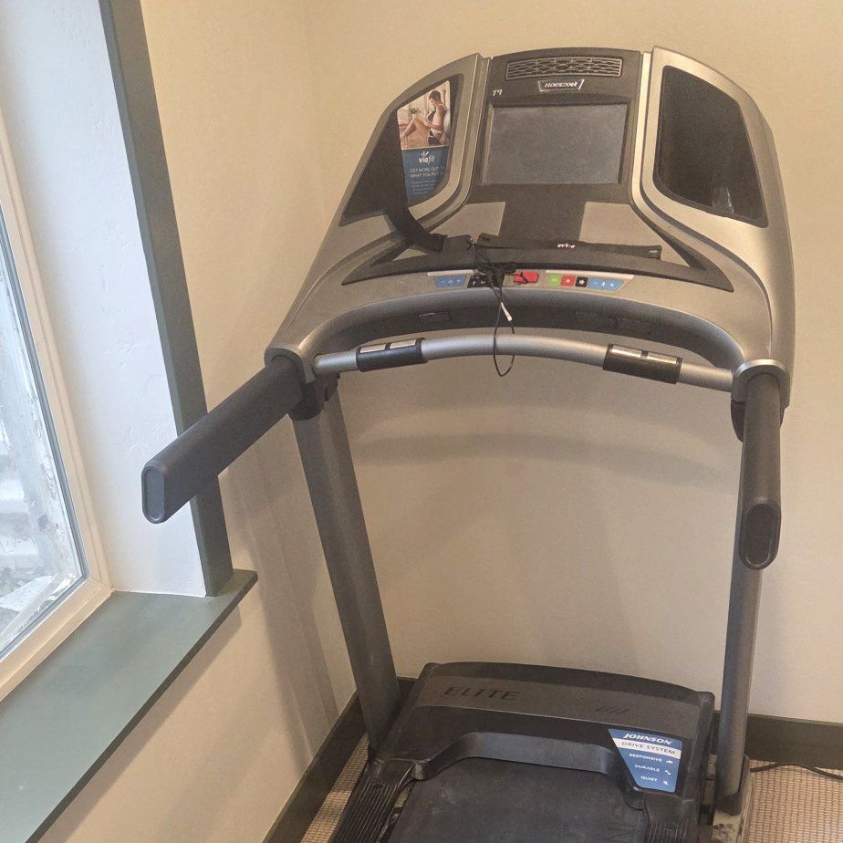 Horizon Elite treadmill