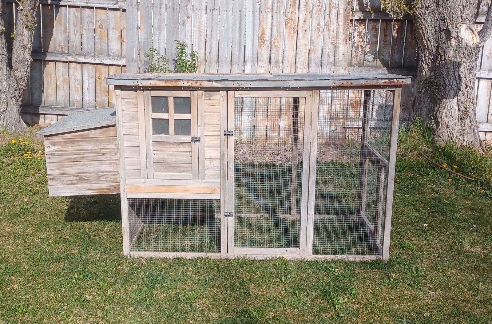 Wooden Chicken Coop with Run and a Double Nesting Box