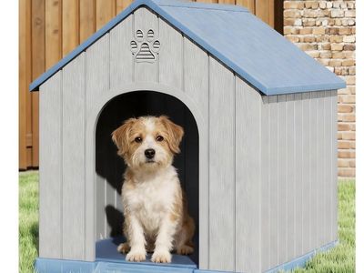 Dog house