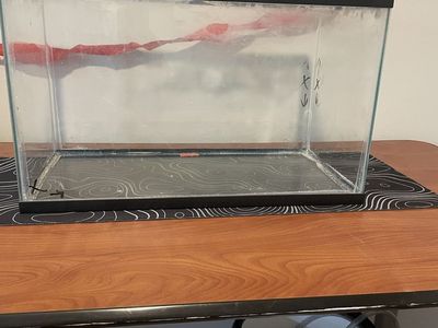 “10 gallon tank in need of repair