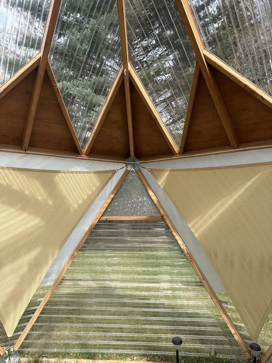 Main image 5