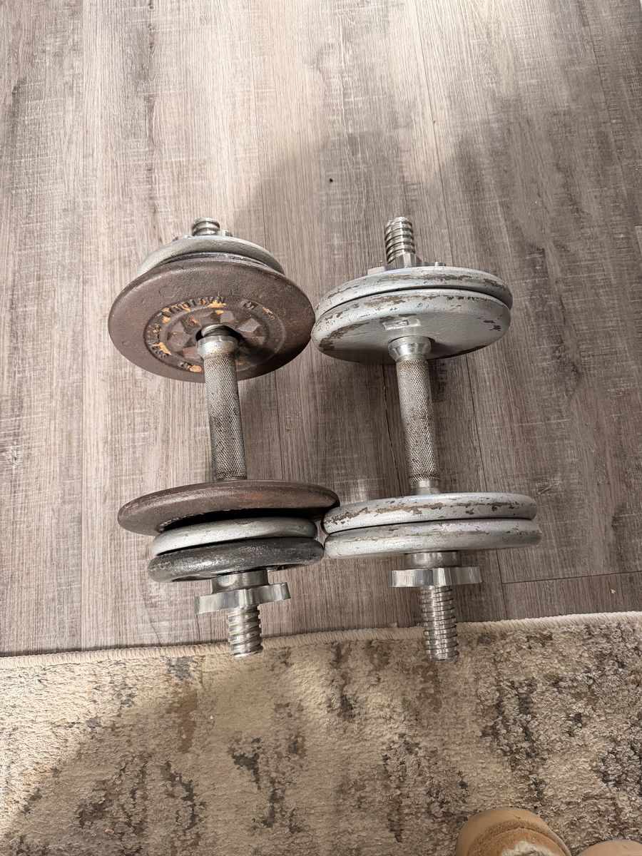 20lb Dumbells