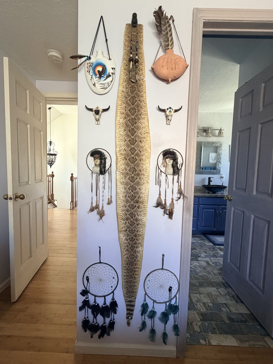 Authentic 6-Foot Rattlesnake Skin w/ Rattle Intact
