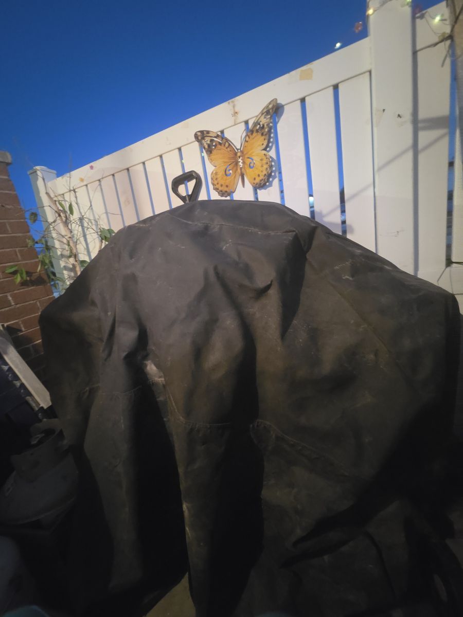 Main image 4