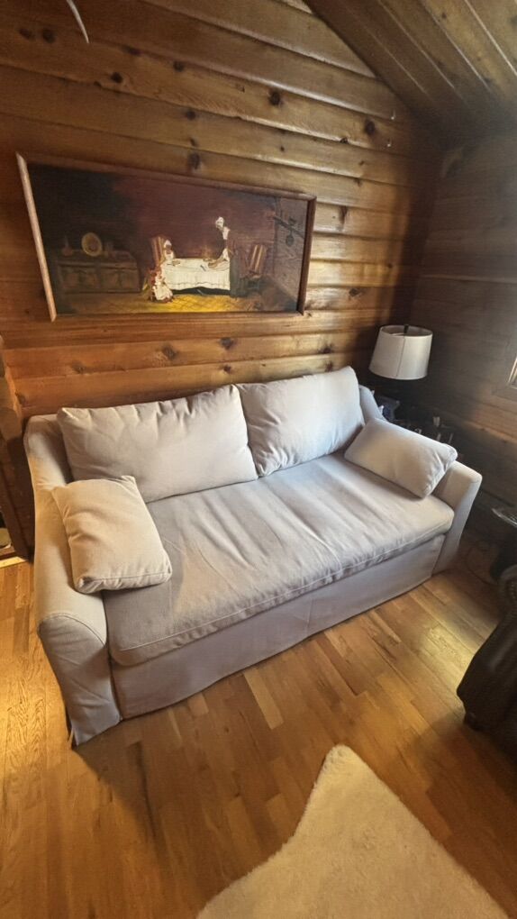 Ikea Farlov Loveseat Sleeper Sofa