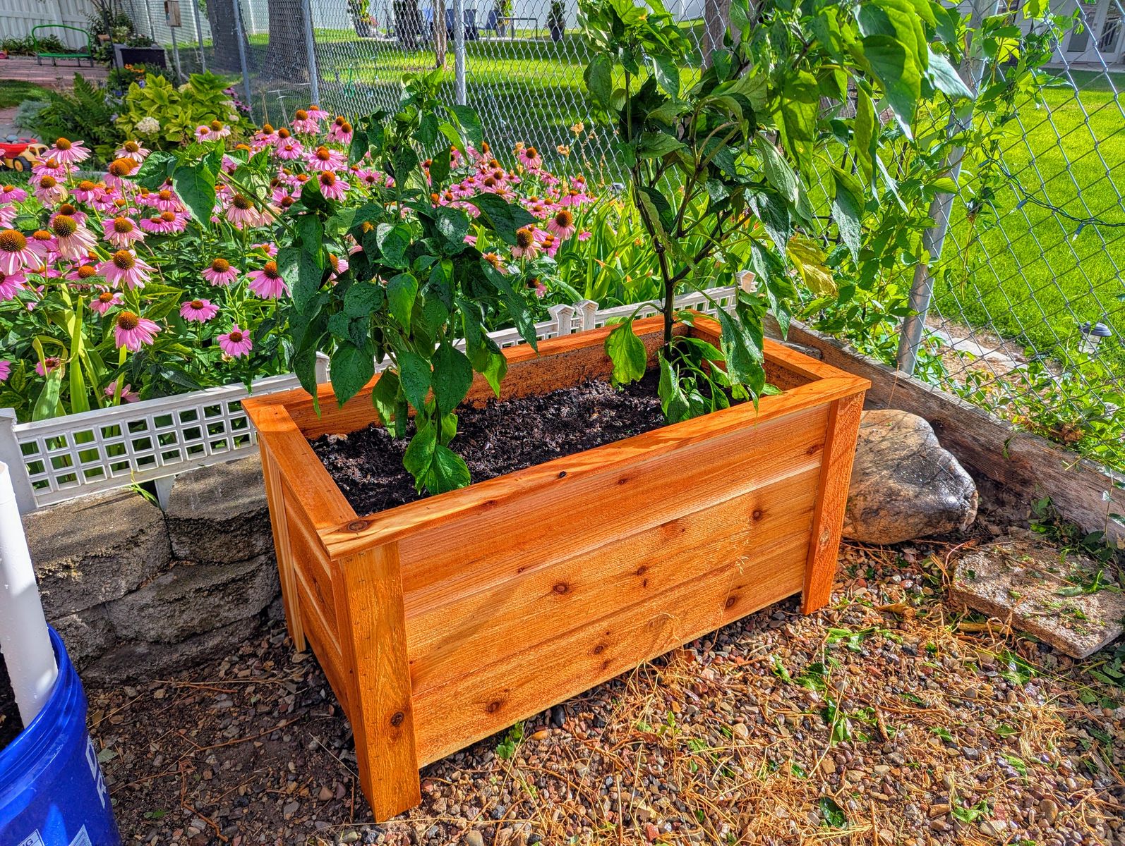 Handmade Cedar Planters