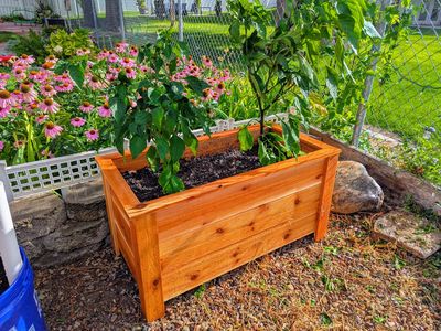 Handmade Cedar Planters