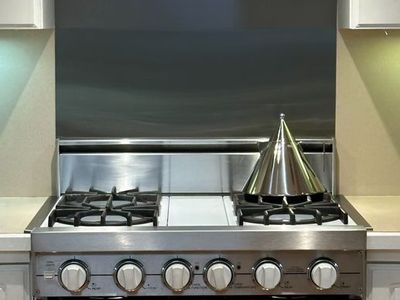 Viking Professional Range with Matching vent hood