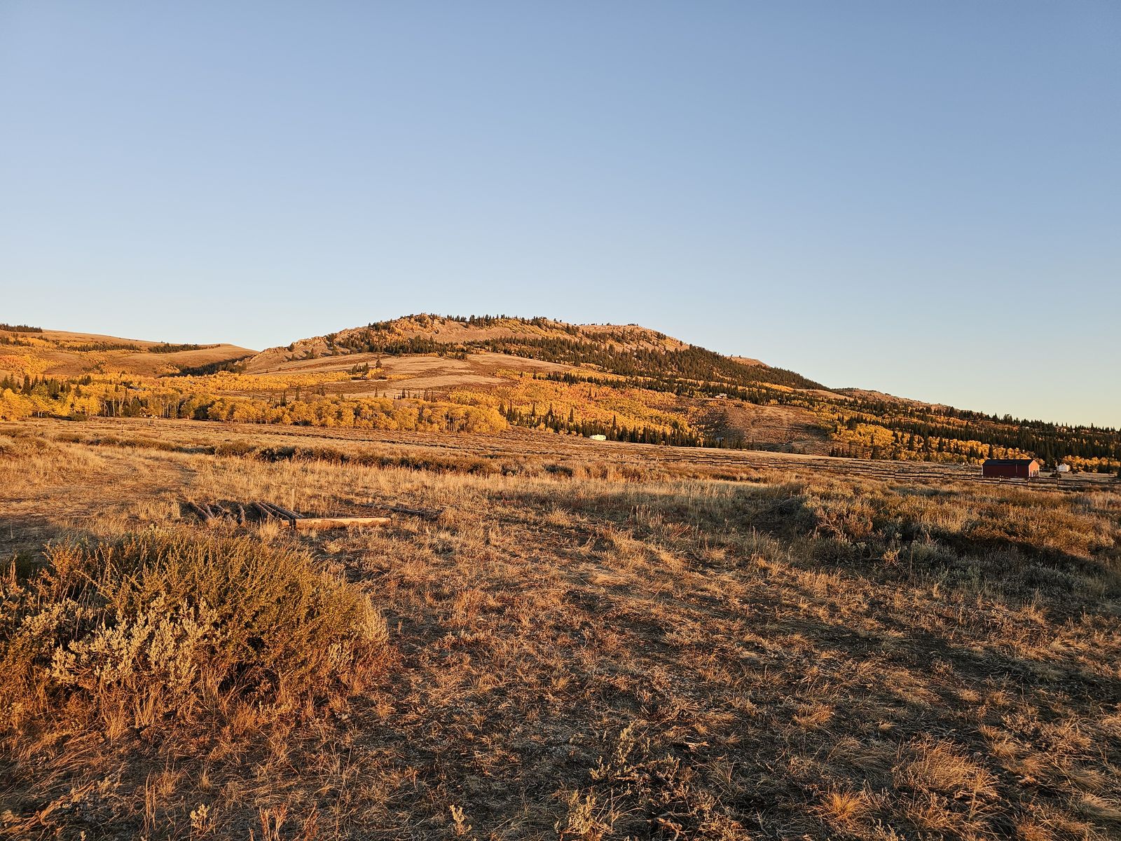 Main image 8