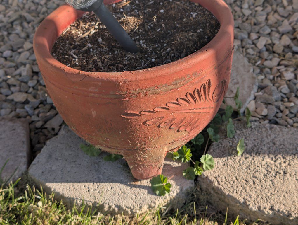 set of two terracotta planter pots located in Roy