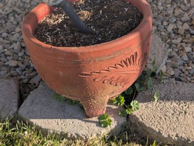 set of two terracotta planter pots located in Roy