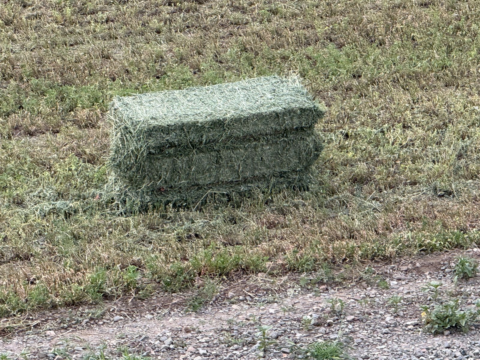 Main image 2