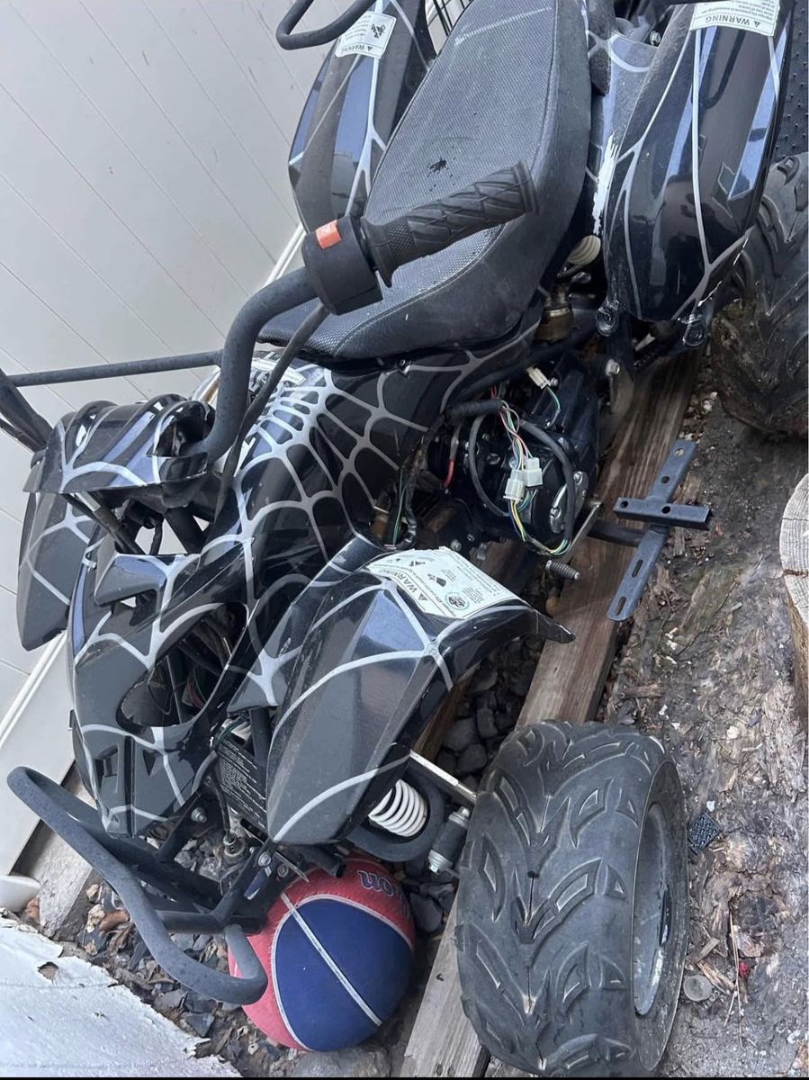 Taotao 110cc Kids ATV Four Wheeler Black Spider Web Designs