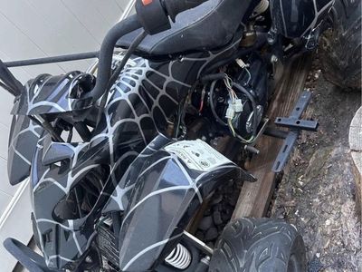 Taotao 110cc Kids ATV Four Wheeler Black Spider Web Designs
