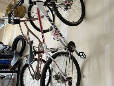 Cannondale Hardtail 29