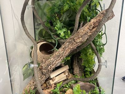 Zoo Med 12x12x18 Vertical Enclosure