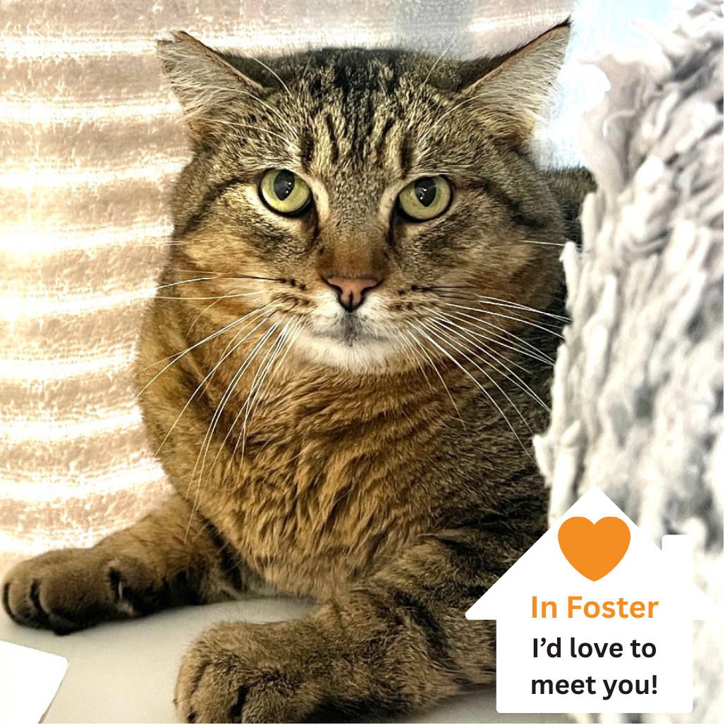 Hello my name is Donnie