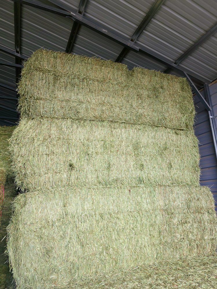Timothy Grass Hay 100% Timothy Grass Free Delivery